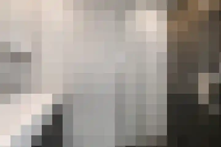 Prins Alexanderstraat 3 Waddinxveen thumbnail 4
