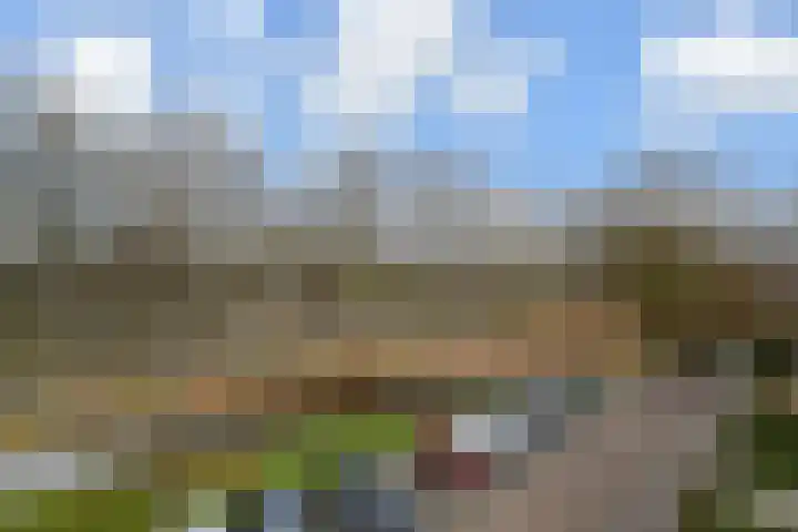 Prins Alexanderstraat 3 Waddinxveen thumbnail 40