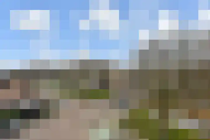 Prins Alexanderstraat 3 Waddinxveen thumbnail 41