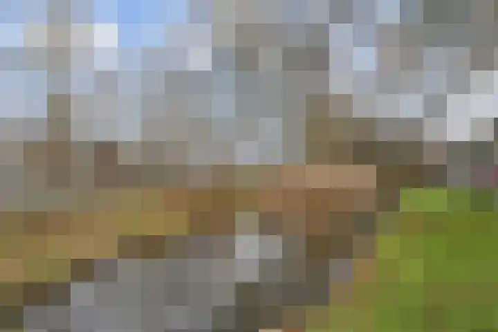 Prins Alexanderstraat 3 Waddinxveen thumbnail 43