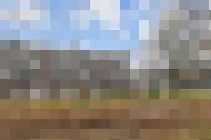 Prins Alexanderstraat 3 Waddinxveen thumbnail 44