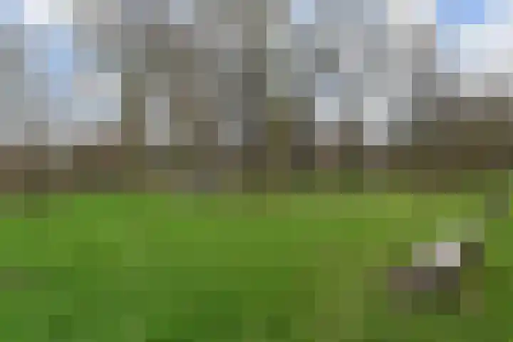 Prins Alexanderstraat 3 Waddinxveen thumbnail 47
