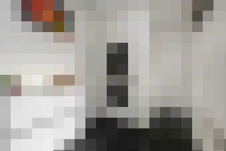 Prins Alexanderstraat 3 Waddinxveen thumbnail 8