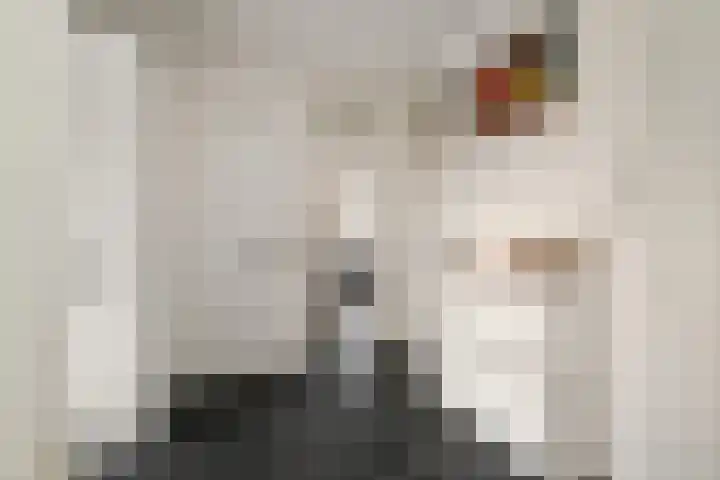 Prins Alexanderstraat 3 Waddinxveen thumbnail 9