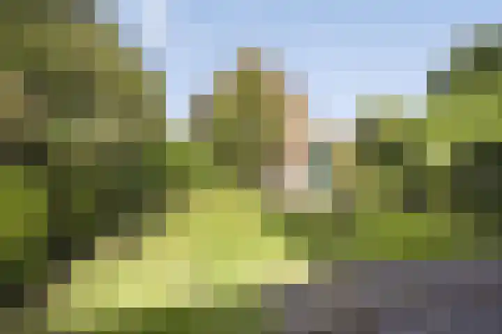 Prins Alexanderstraat 34 Zwolle thumbnail 23