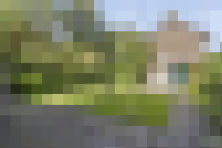 Prins Alexanderstraat 34 Zwolle thumbnail 24