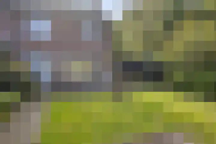 Prins Alexanderstraat 34 Zwolle thumbnail 25