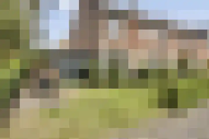 Prins Alexanderstraat 34 Zwolle thumbnail 30