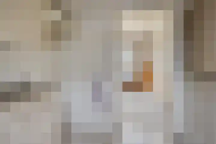 Prins Alexanderstraat 34 Zwolle thumbnail 9