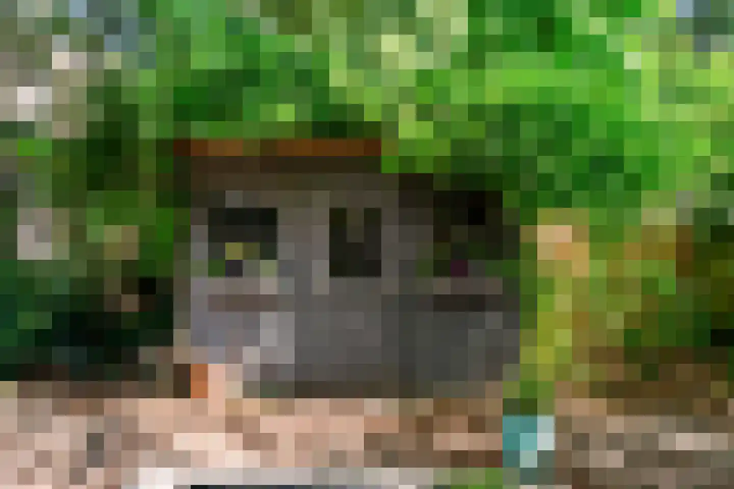 Prins Alexanderweg 78 05 Huis ter Heide thumbnail 36