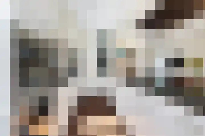 Prins Bernhardkade 16 Rotterdam thumbnail 12
