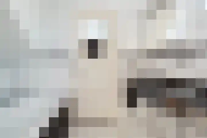 Prins Bernhardkade 16 Rotterdam thumbnail 25