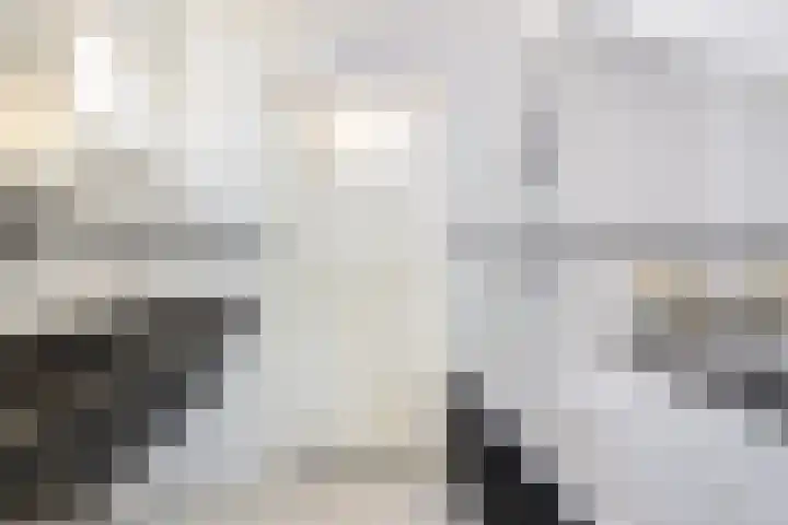 Prins Bernhardkade 16 Rotterdam thumbnail 26