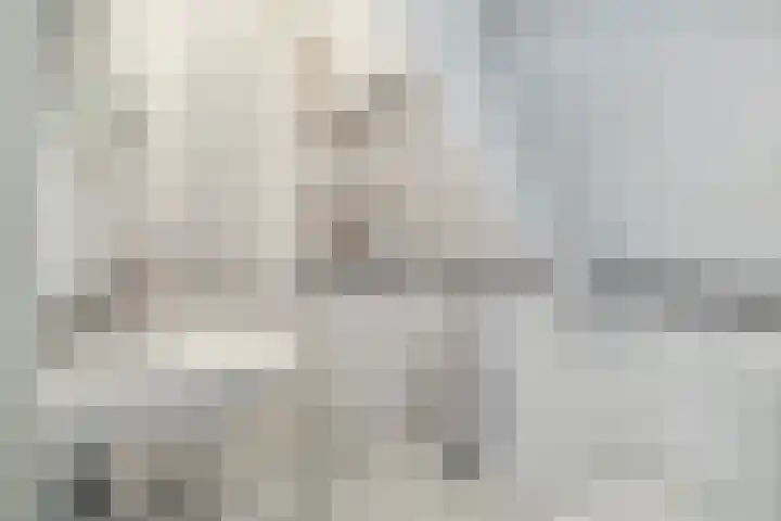 Prins Bernhardkade 16 Rotterdam thumbnail 38