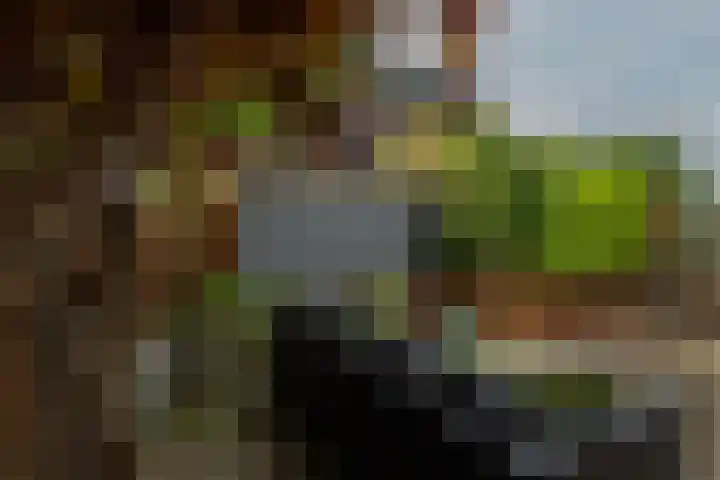 Prins Bernhardkade 16 Rotterdam thumbnail 39