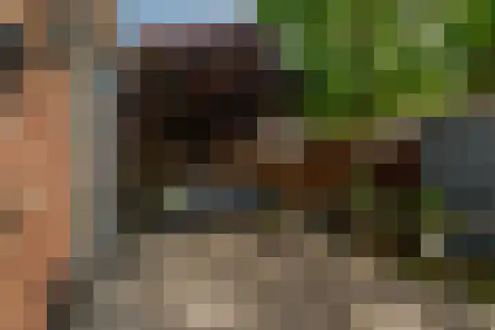 Prins Bernhardkade 16 Rotterdam thumbnail 40