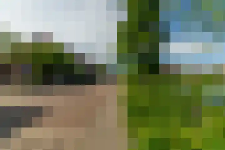 Prins Bernhardkade 16 Rotterdam thumbnail 45
