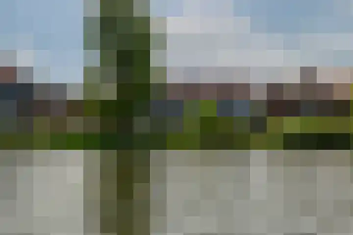 Prins Bernhardkade 16 Rotterdam thumbnail 57