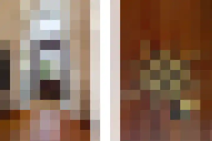 Prins Bernhardkade 16 Rotterdam thumbnail 6