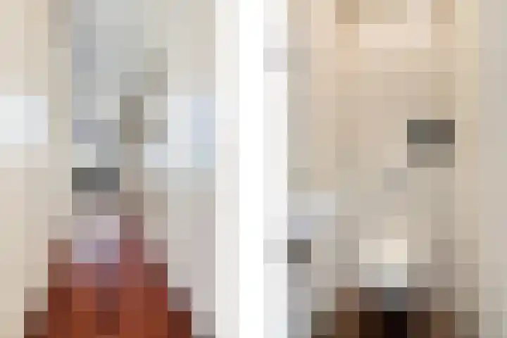 Prins Bernhardkade 16 Rotterdam thumbnail 7