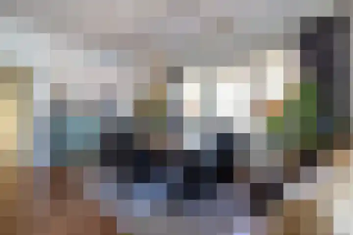 Prins Bernhardkade 17 Rotterdam thumbnail 11