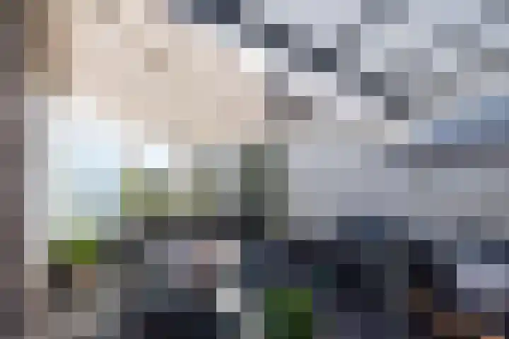 Prins Bernhardkade 17 Rotterdam thumbnail 18