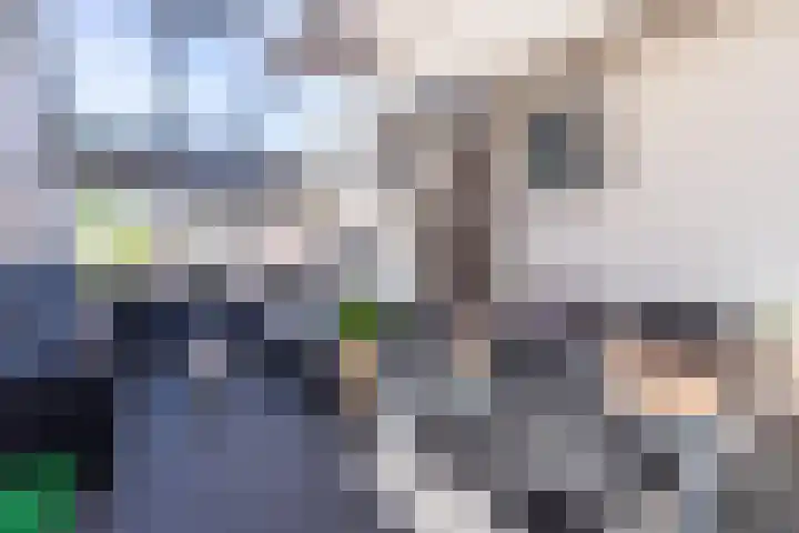 Prins Bernhardkade 17 Rotterdam thumbnail 19