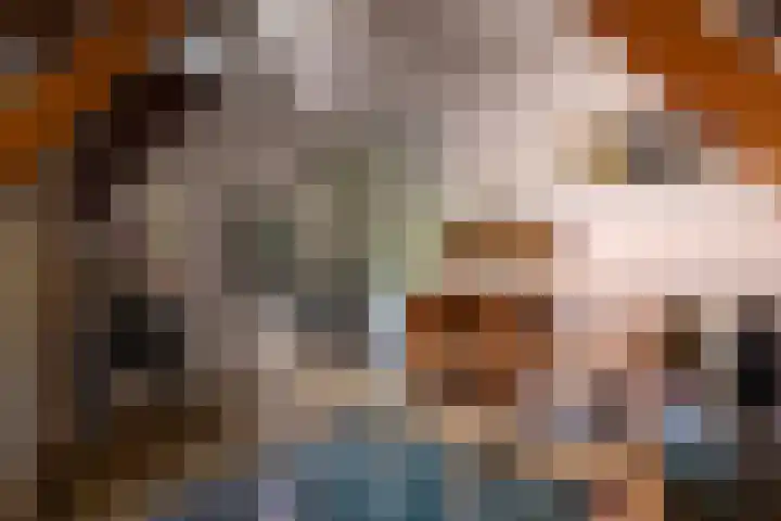 Prins Bernhardkade 17 Rotterdam thumbnail 29