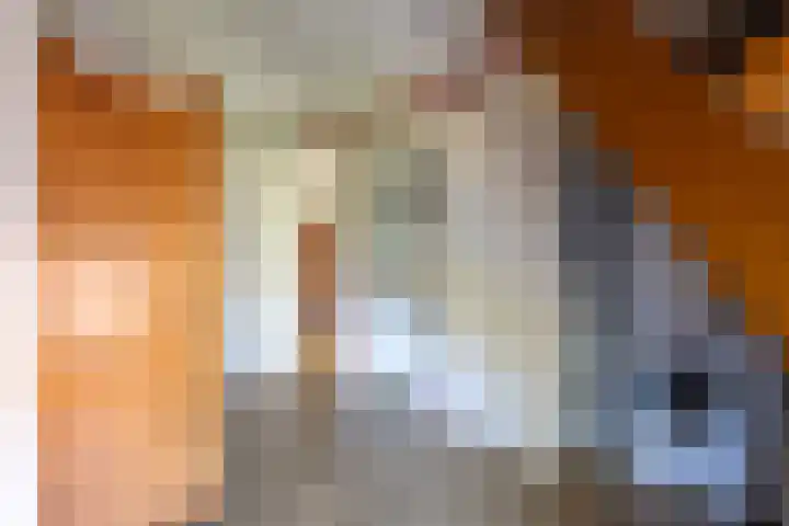 Prins Bernhardkade 17 Rotterdam thumbnail 31