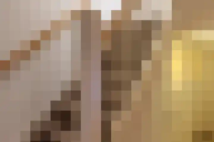 Prins Bernhardkade 17 Rotterdam thumbnail 38