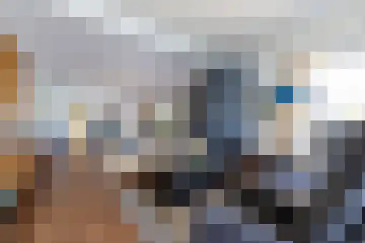 Prins Bernhardkade 17 Rotterdam thumbnail 9