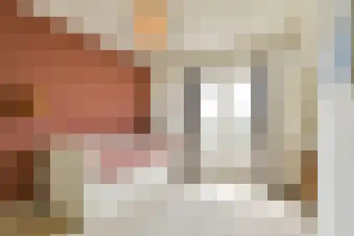 Prins Bernhardkade 18 A Rotterdam thumbnail 17
