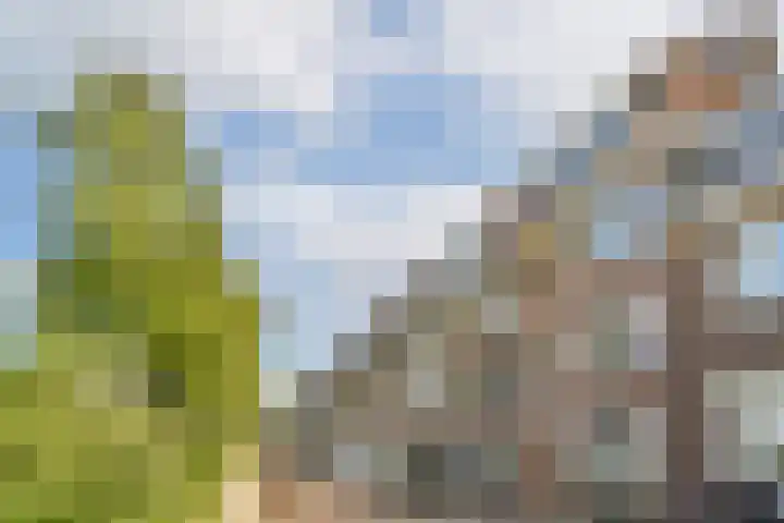 Prins Bernhardkade 18 A Rotterdam thumbnail 4