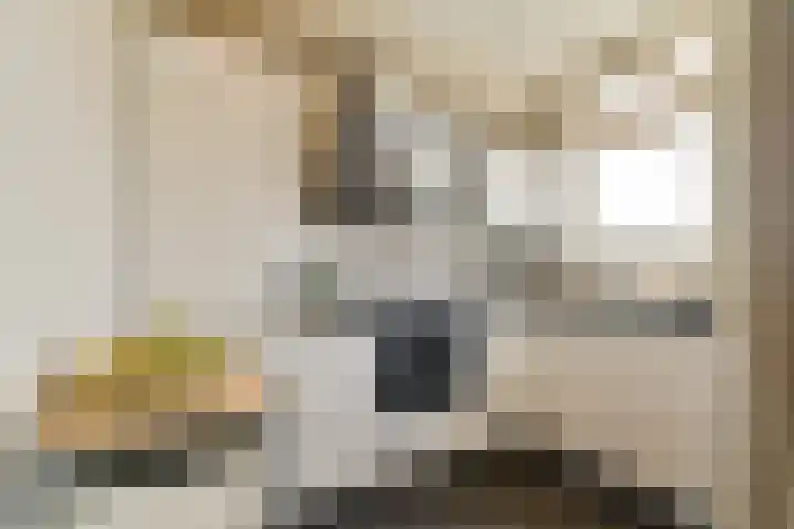 Prins Bernhardkade 18 A Rotterdam thumbnail 5