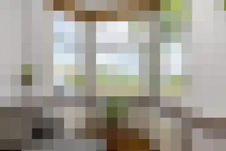 Prins Bernhardkade 20 B Rotterdam thumbnail 11