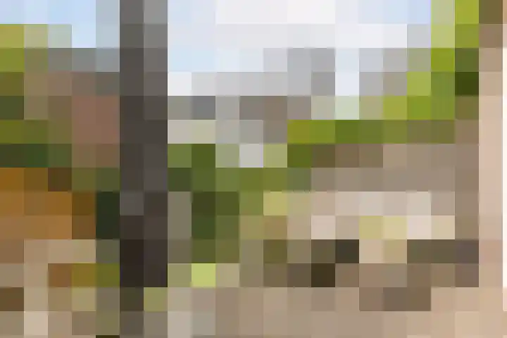 Prins Bernhardkade 20 B Rotterdam thumbnail 18
