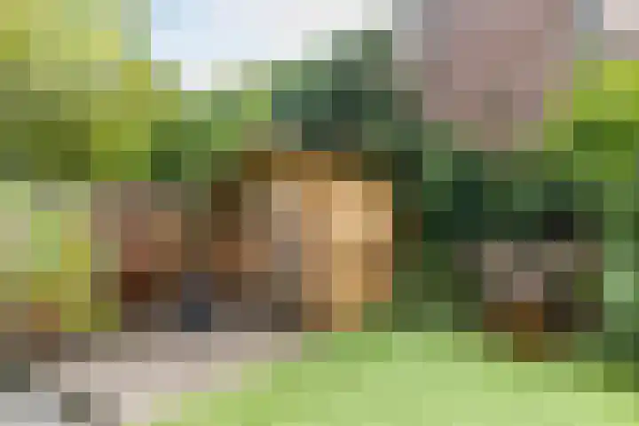 Prins Bernhardkade 20 B Rotterdam thumbnail 20