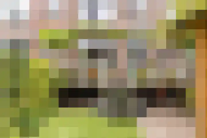 Prins Bernhardkade 20 B Rotterdam thumbnail 24