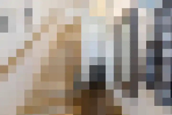 Prins Bernhardkade 20 B Rotterdam thumbnail 27