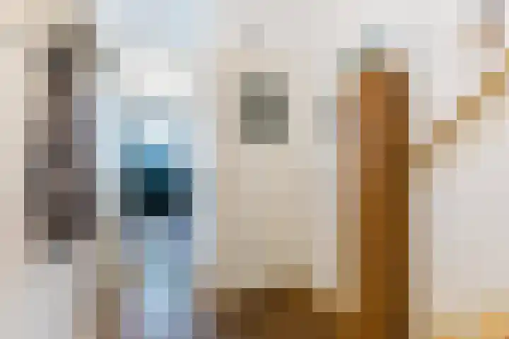 Prins Bernhardkade 20 B Rotterdam thumbnail 28