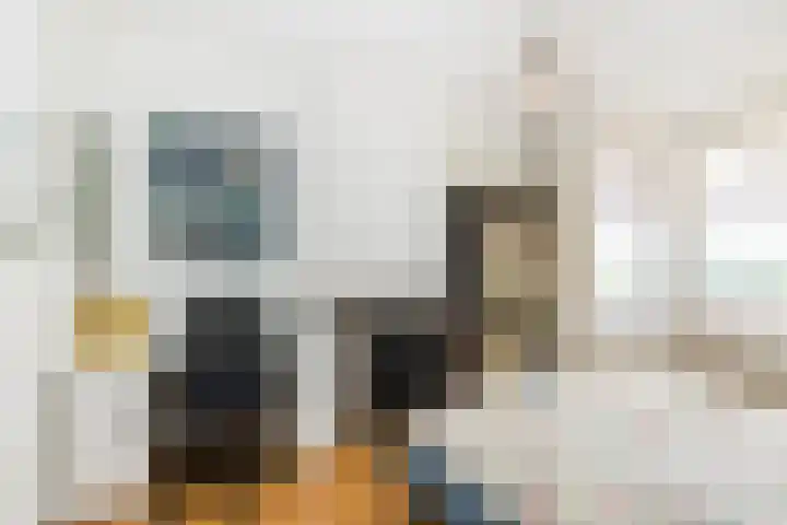 Prins Bernhardkade 20 B Rotterdam thumbnail 33