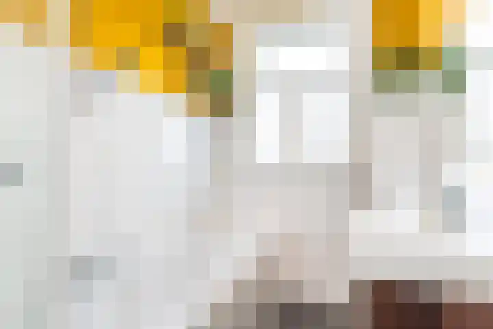 Prins Bernhardkade 20 B Rotterdam thumbnail 40