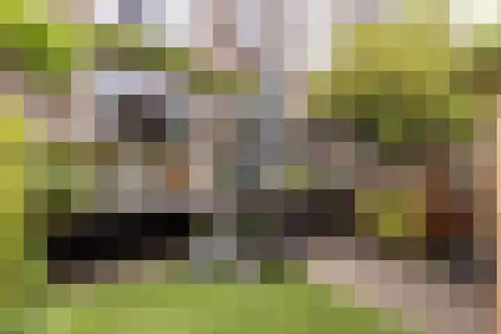 Prins Bernhardkade 20 B Rotterdam thumbnail 42