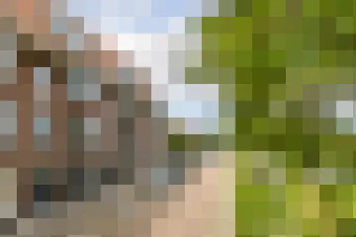 Prins Bernhardkade 20 B Rotterdam thumbnail 46