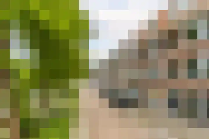 Prins Bernhardkade 20 B Rotterdam thumbnail 47
