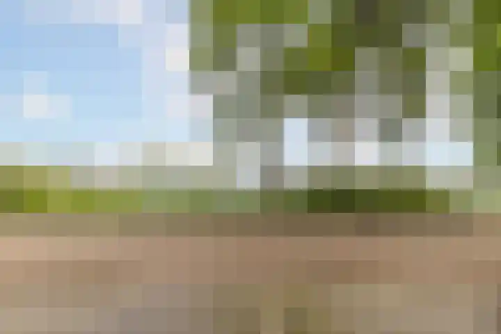 Prins Bernhardkade 20 B Rotterdam thumbnail 50