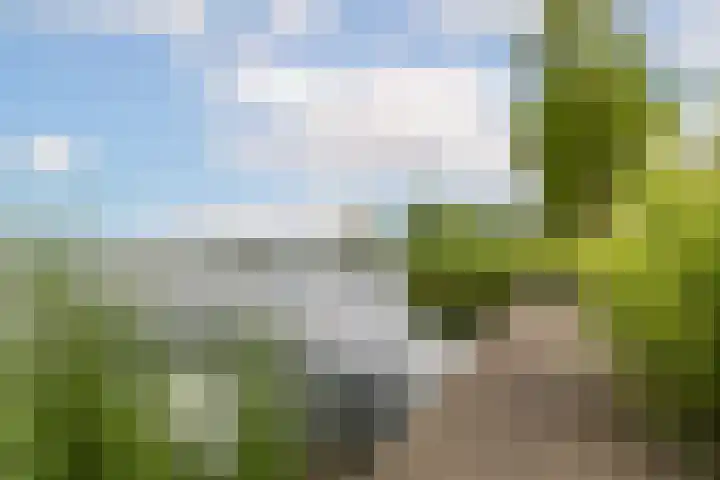 Prins Bernhardkade 20 B Rotterdam thumbnail 51