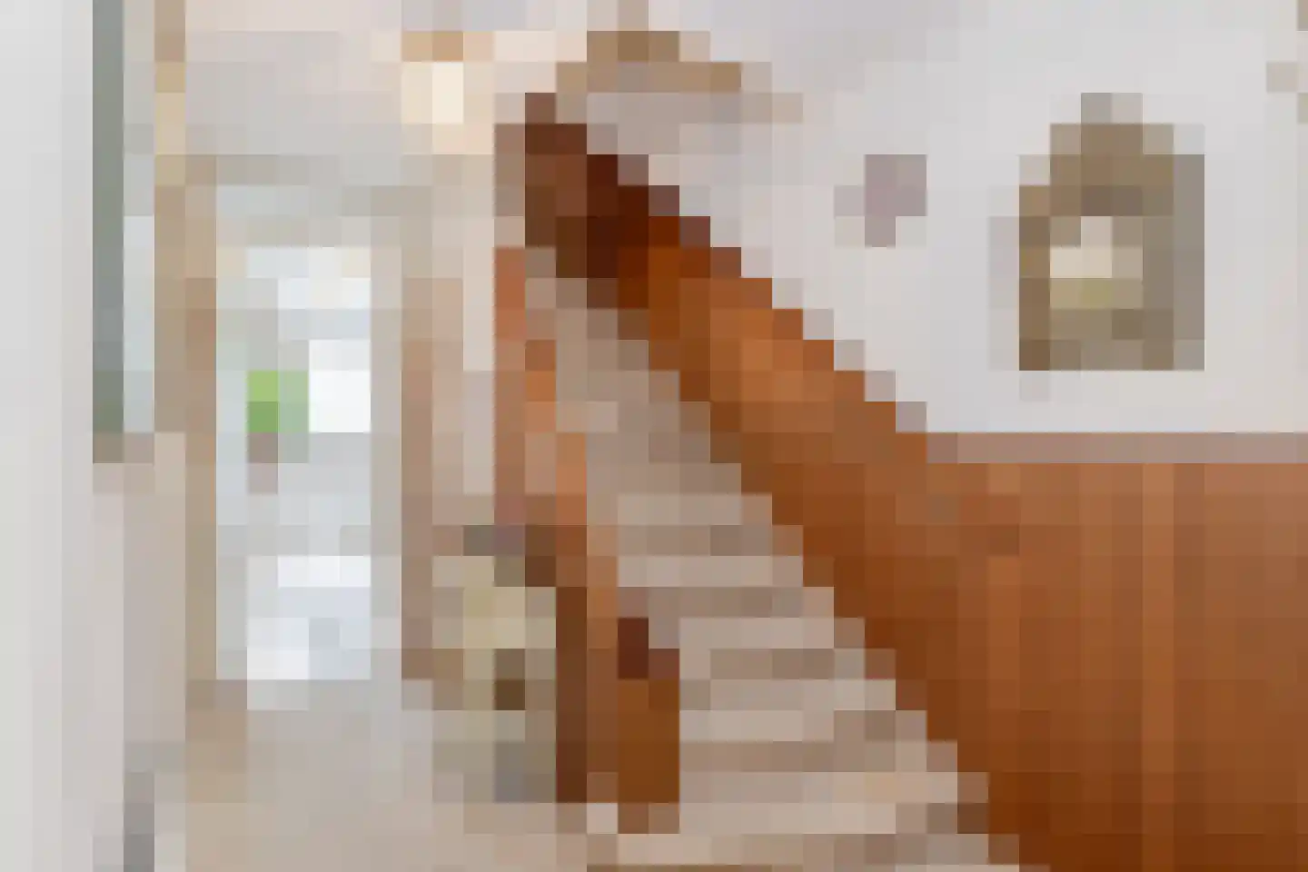 Prins Bernhardkade 30 A Rotterdam thumbnail 34