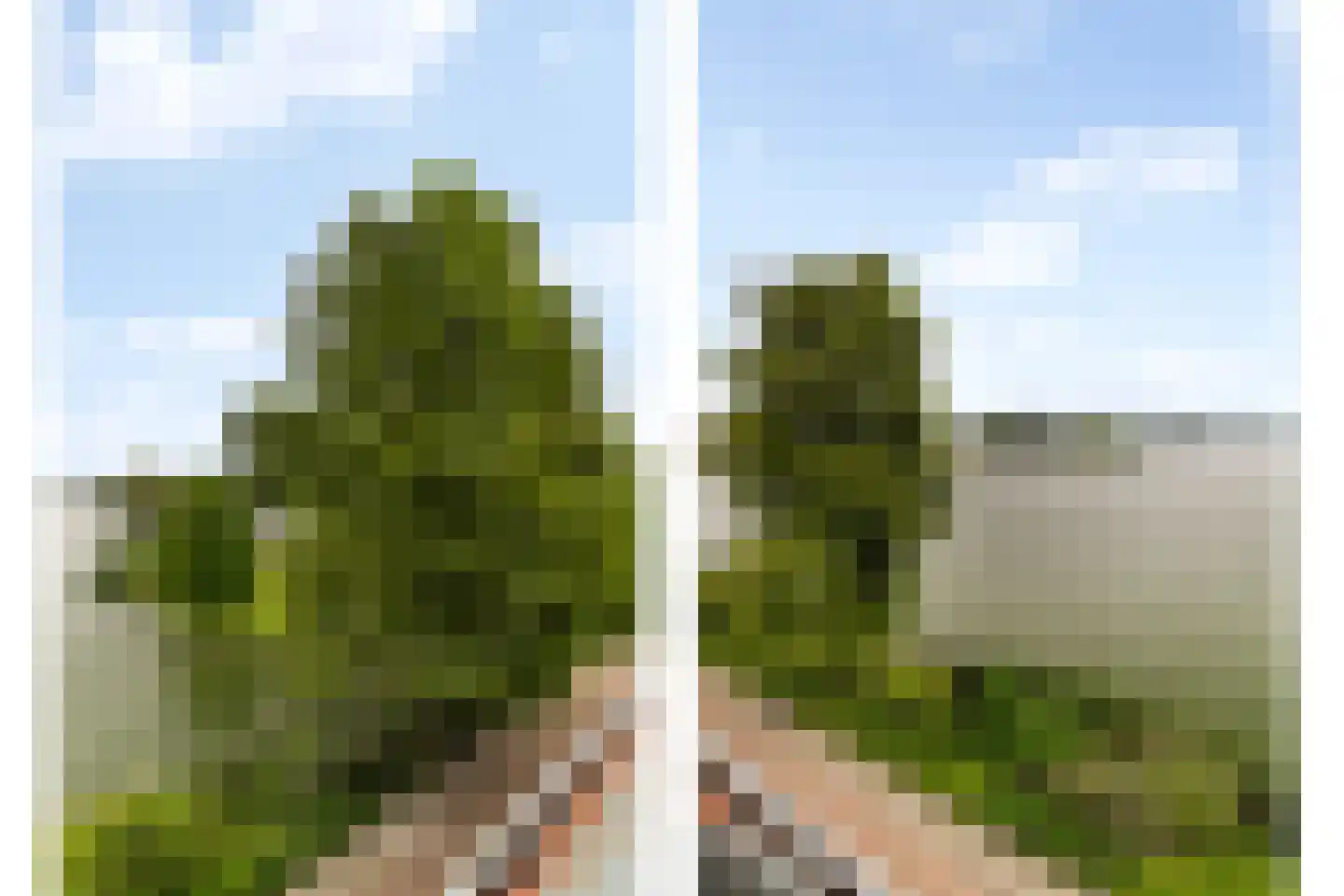Prins Bernhardkade 35 B Rotterdam thumbnail 16