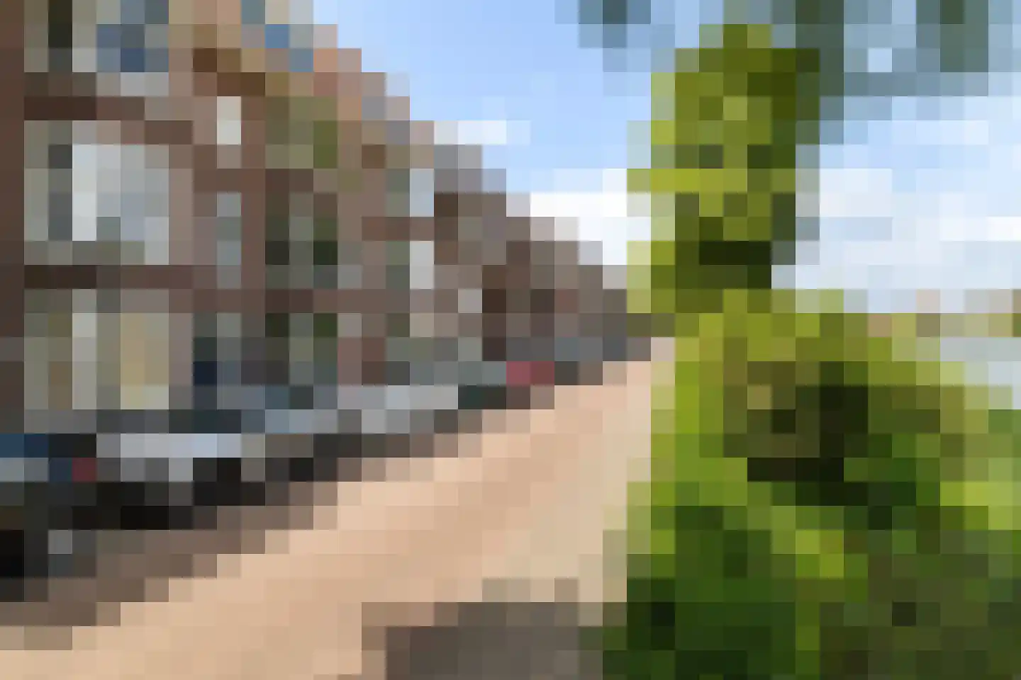 Prins Bernhardkade 35 B Rotterdam foto 2